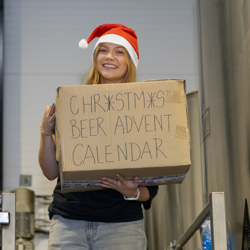 Advent Calendar 2026 || Early Bird ||