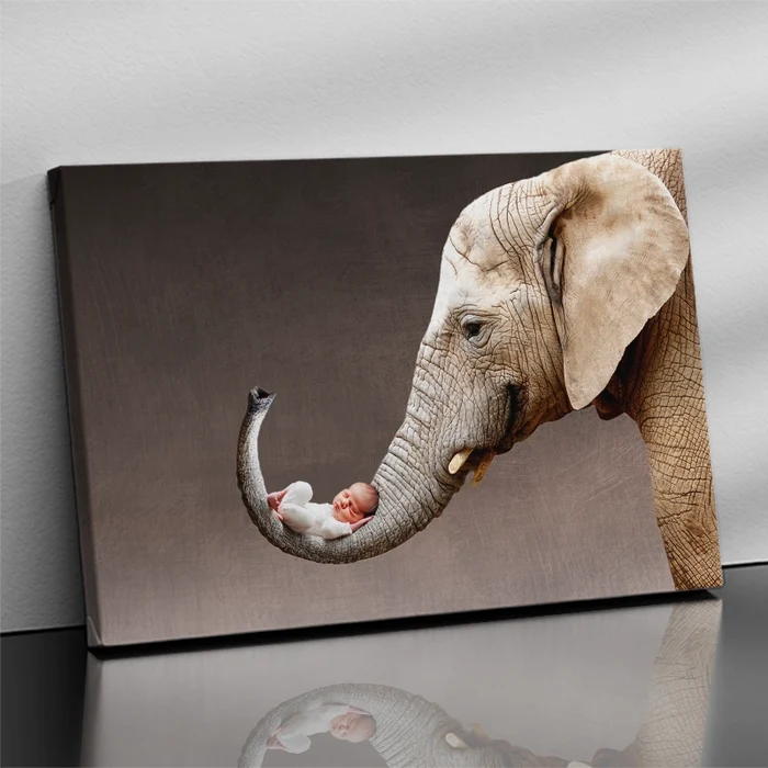 Baby Elephant Trunk