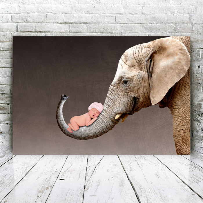 Baby Elephant Trunk