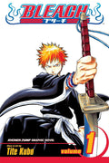 Bleach Vol.01