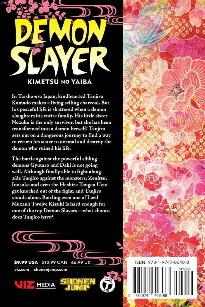 Demon Slayer Kimetsu No Yaiba Gn Vol. 11