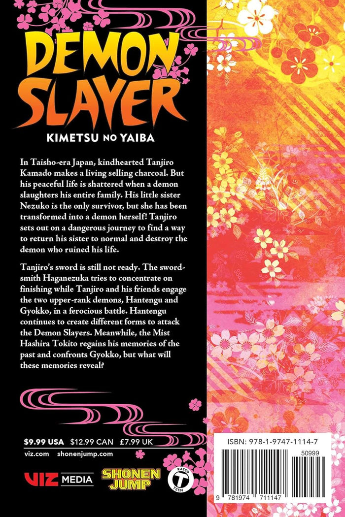 Demon Slayer Kimetsu No Yaiba Gn Vol. 14