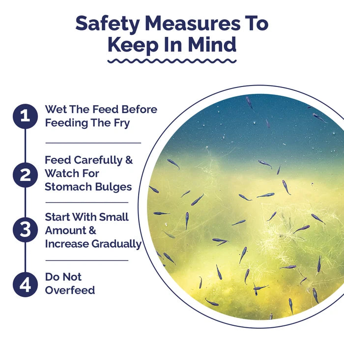 Safety measures for fish care with a circular inset showing fishes in an aquarium.