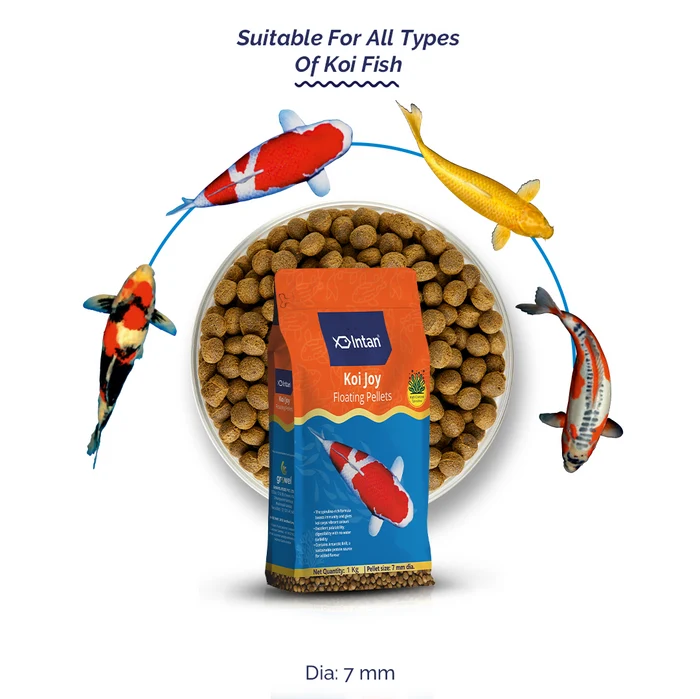 Intan Koi Joy Pellets Fish Food - Suitable Food for Koi Fish