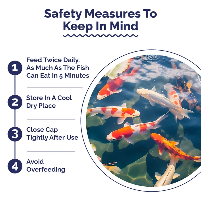Safety measures for fish care with a circular inset showing Koi fishes in an aquarium.