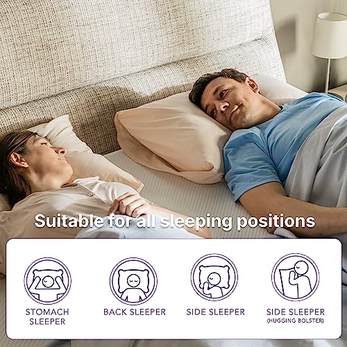 NapQueen Eight Inch Bamboo Charcoal Memory Foam Mattress For Cozy Comfort