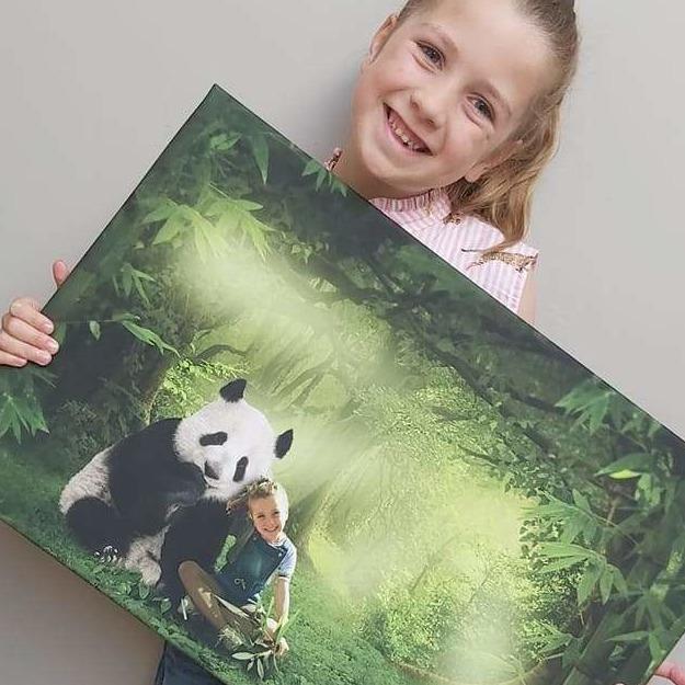 Panda Forest